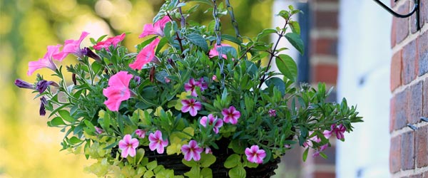 Hanging basket on garage